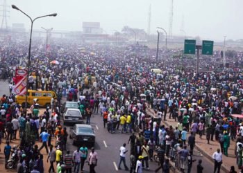 Are Nigerians On Their Own in This Onerous Undertaking?