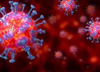 Nigeria Reports 87 New Cases of Coronavirus as Imo State Records 1st Case