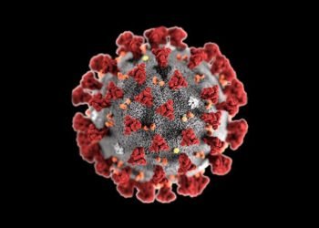 Coronavirus Update – Chinese Vaccine Developers Lack Qualified Patients, as Nigeria Confirms 196 new cases.