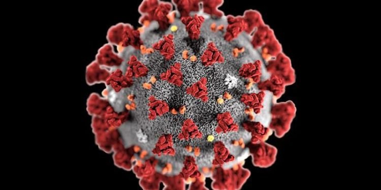 Coronavirus Update – Chinese Vaccine Developers Lack Qualified Patients, as Nigeria Confirms 196 new cases.