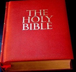 Building a Successful Business Organization: Lessons from the Bible