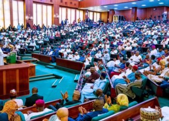 The Nigeria’s National Cake: How it is Shared