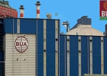 Equity Investors Lost N198 billion as Bua Cement, Cadbury & Wapco shares were dumped