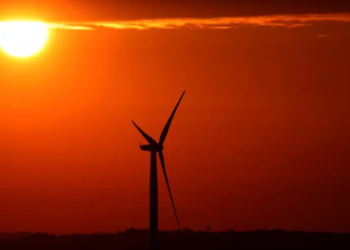 How much the world invested in renewable energy in 2019