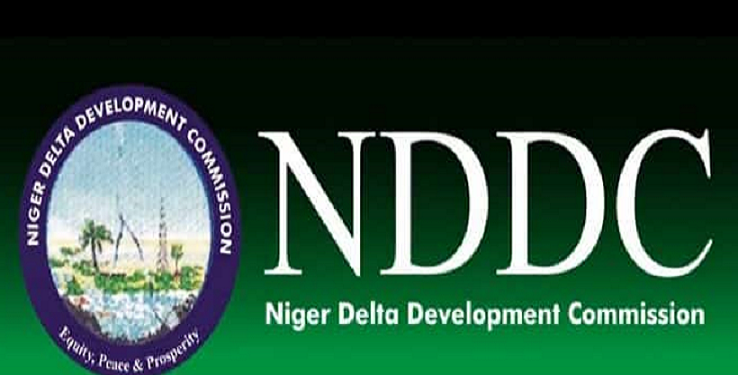 NDDC received N333.05bn allocation in five years, what was it used for?