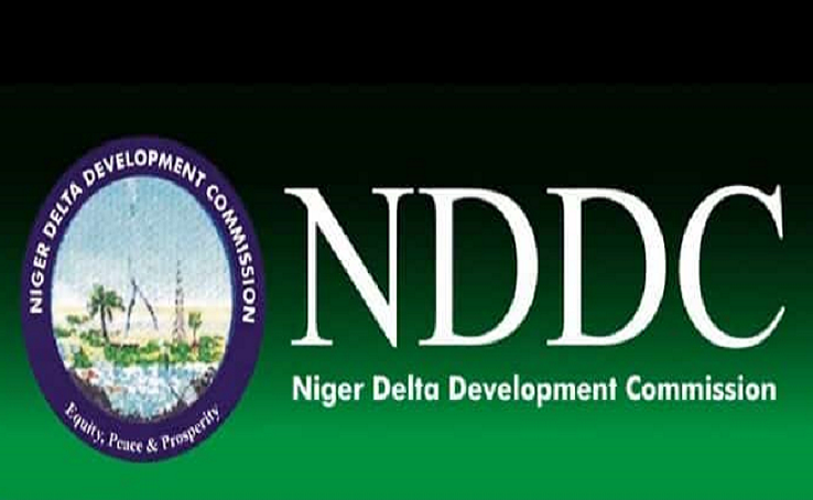 Investogist - Nddc Received N333.05bn Allocation In Five Years, What 