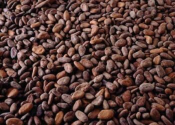 FTN Cocoa Processors Plc share price moves for the first time in over two years