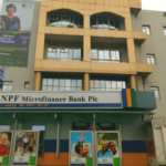 NPF-Microfinance