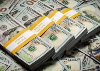 List of companies under CBN investigation for forex infractions