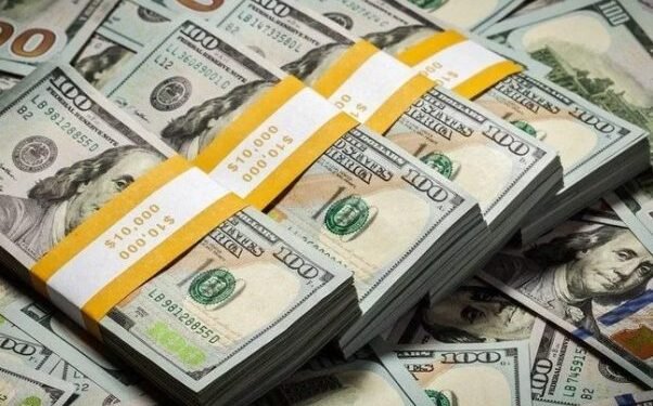 List of companies under CBN investigation for forex infractions