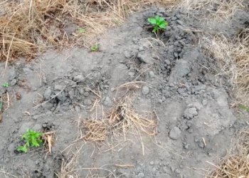 No Rain: Defining Challenges for Smallholder Farmers