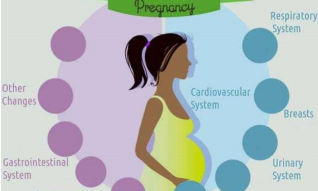 Pregnancy: Symptoms and Health Tips