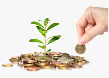 Financial Responsibility: The basics and how to achieve it