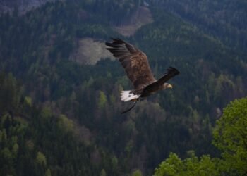 Nigerian Stock Market weekly report: A record shattering week adds N2.101 trillion to Investors’ wealth