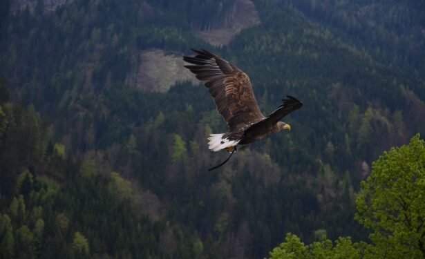 Nigerian Stock Market weekly report: A record shattering week adds N2.101 trillion to Investors’ wealth