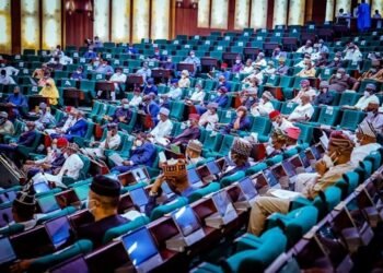 Just in: Reps pass Petroleum Industry Bill for second reading