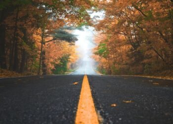 Nigerian Stock Market daily report: DANGCEM and AIRTELAFRI lead as market index rise by 1.25%