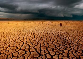 World Bank Plans to Invest over $5 Billion in Drylands in 11 African Countries