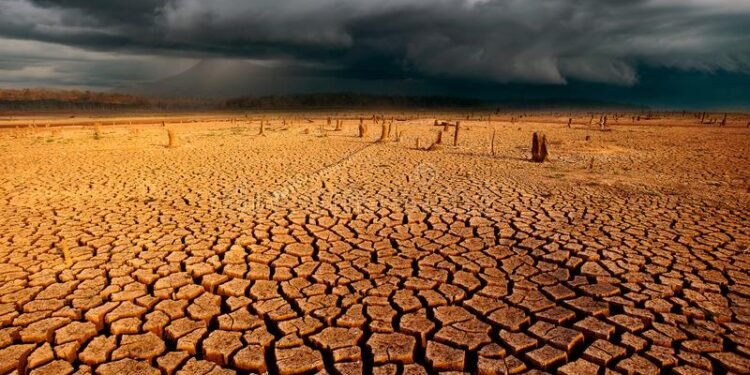 World Bank Plans to Invest over $5 Billion in Drylands in 11 African Countries