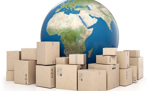 What you need to know about Mini-Importation Business