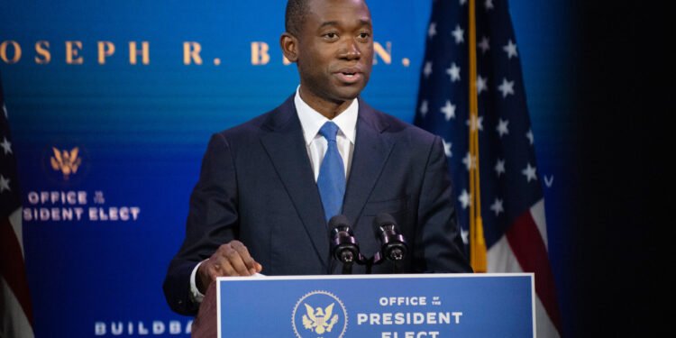 Irreconcilable Incongruities (2) – Adeyemo as US Deputy Treasury Secretary