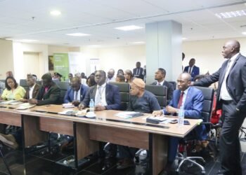 NIRSAL’s SATS-C and PH-P3: a Compatible Combo