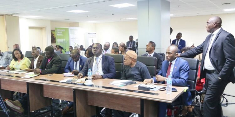 NIRSAL’s SATS-C and PH-P3: a Compatible Combo