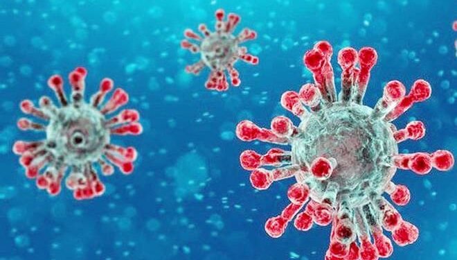 COVID-19: Lack of ICU beds tied to thousands of excess COVID-19 deaths, study finds