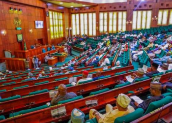 Rice importation ban: Bill prescribes life imprisonment for offenders