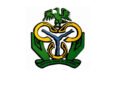 Accept old series/lower denominations of US Dollars or be sanctioned – CBN Tells DMBs/Forex Dealers