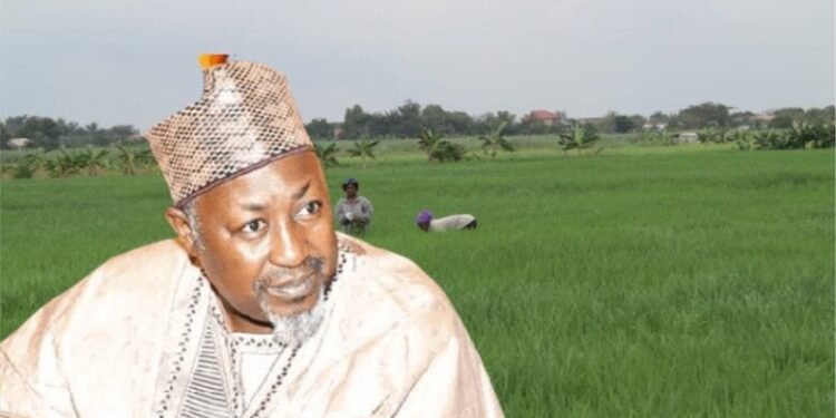 400,000 Hectares of Land to Be Allocated to Agri Investors by Jigawa State Government