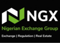 Nigerian Stock Exchange’s new look (NGX Group): Brand Identity and Website