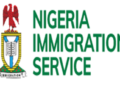 NIS suspends the issuance of new passports and renewals