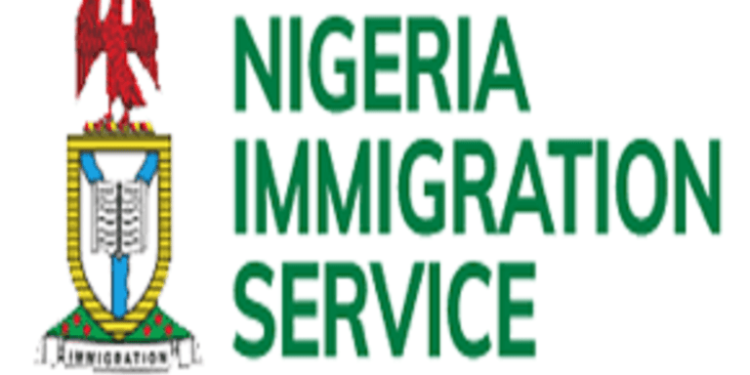 Investogist Nis Suspends The Issuance Of New Passports And Renewals