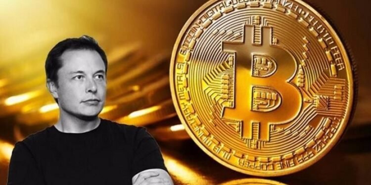 Bitcoin Rallies as Musk Considers Second Romance
