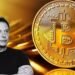 Bitcoin Rallies as Musk Considers Second Romance