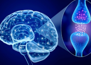 Low blood flow in the brain may be an early sign of Parkinson’s disease