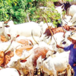 Open grazing