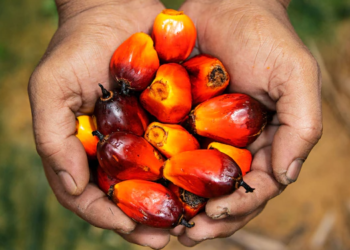 Presco Plc Board resolves to acquire competitor, raise additional capital