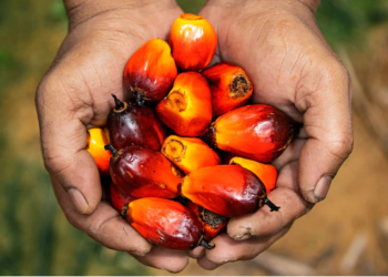 Presco Plc to acquire 100% stake in a competing company