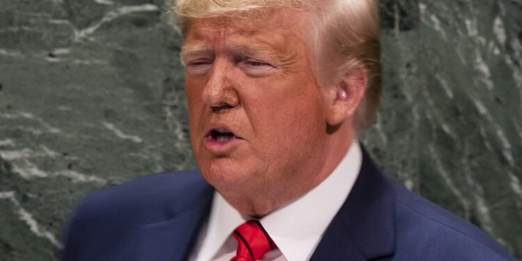 Trump: Bitcoin ‘seems like a scam’ and should be regulated ‘very very high’