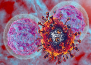 Scientist Learn What Fuels the ‘Natural Killers’ of the Immune System