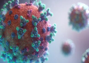 Study reveals what triggers lung damage during COVID-19