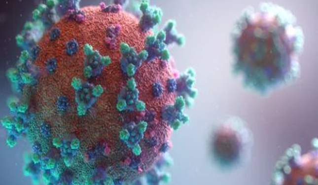 Study reveals what triggers lung damage during COVID-19