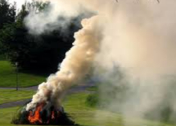 Exposure to tobacco smoke in early life is associated with accelerated biological ageing, study finds