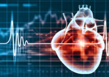 How a Racing Heart may Alter Decision-Making Brain Circuits