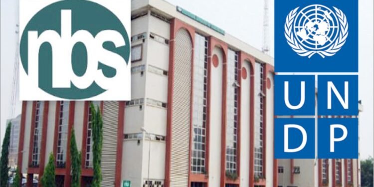 The Distresses of Nigerian Businesses due to the 2020 COVID-19 Pandemic – NBS-UNDP Joint Report