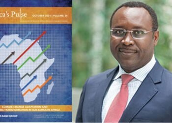 Nigeria Is at Wealth Value Risk – World Bank