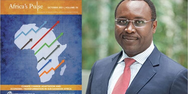 Nigeria Is at Wealth Value Risk – World Bank