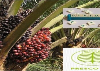 Presco PLC Announces N1 Interim Dividend